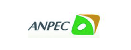 ANPEC | Chipmall.com electronic components online